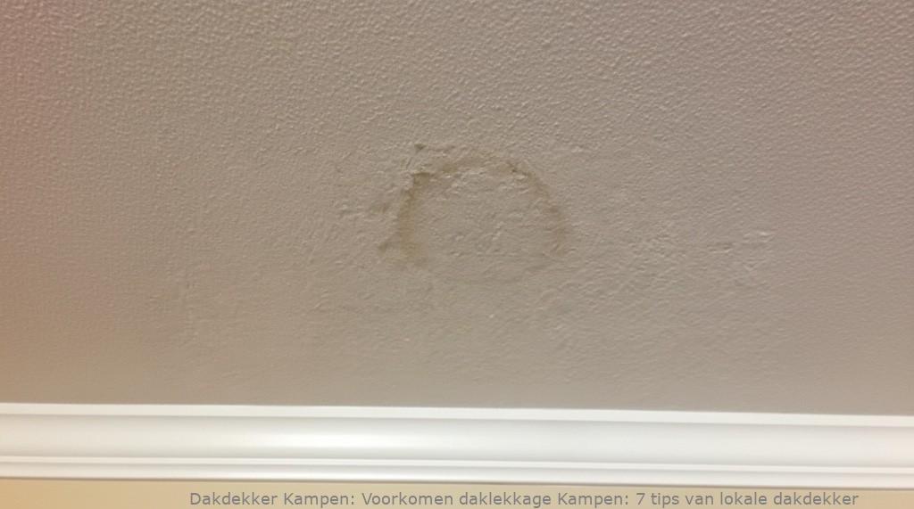 Voorkomen Daklekkage Kampen