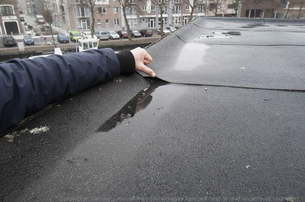Voorkomen Daklekkages Kampen
